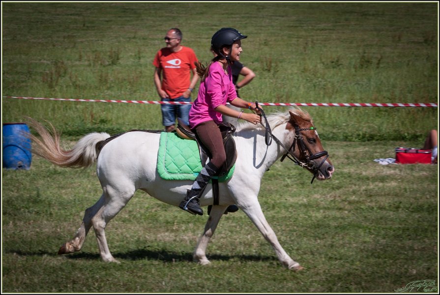 Mounted Games 270